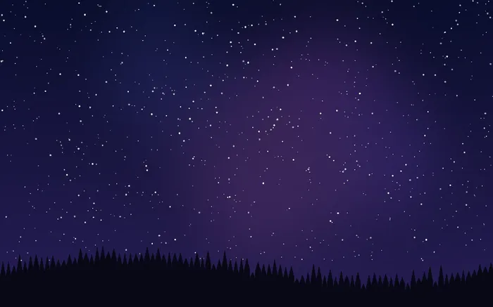 Sternenhimmel über einer dunklen Waldsilhouette